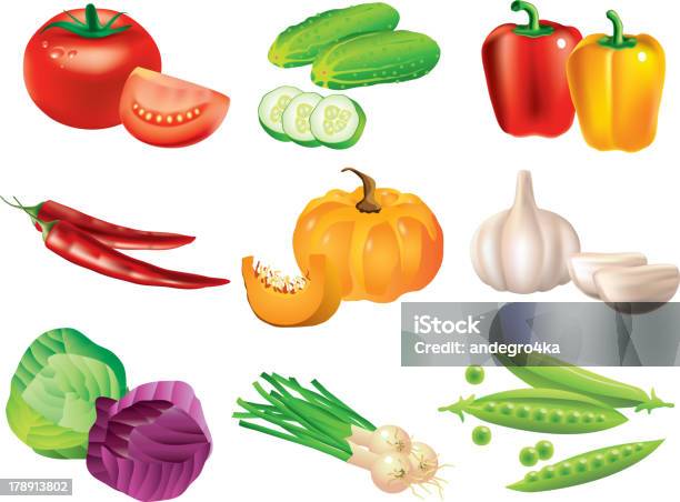 Popularne Warzywa Wektor Zestaw - Stockowe grafiki wektorowe i więcej obrazów Dynia olbrzymia - Dynia olbrzymia, Siekany, Wariacja