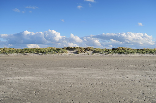 Panorama beach and dunes baltic sea