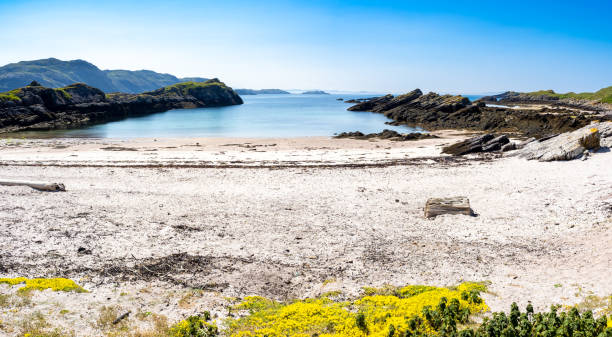 istock Handa island in Scotland 1789149219