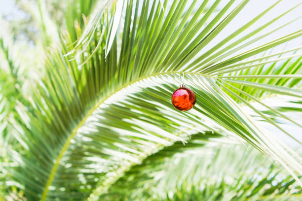 New Year ornaments on palm tree. Tropical festivity concept
