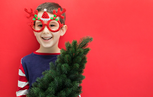Caucasian boy in funny glasses holding Christmas tree on a red background, copy space
