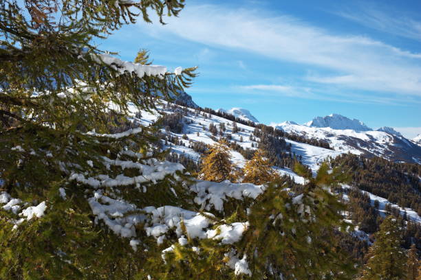 istock The 2 ocher larches; Enchastrayes 1789199198