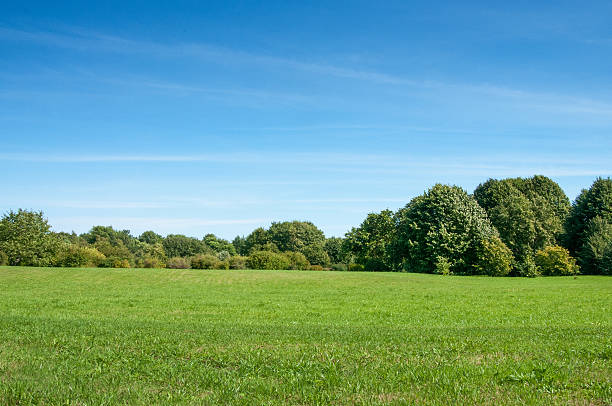 istock Green field and blue sky summer 178920278
