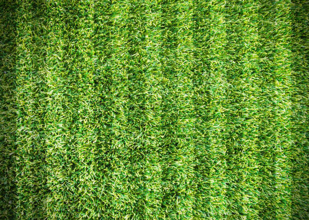 istock football field 1789209795