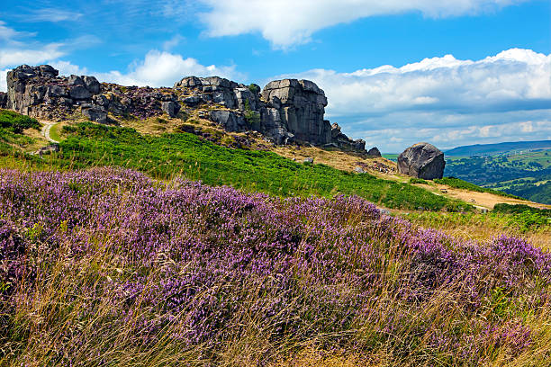 ilkley plus à la fin de l'été - landes écossaises photos et images de collection