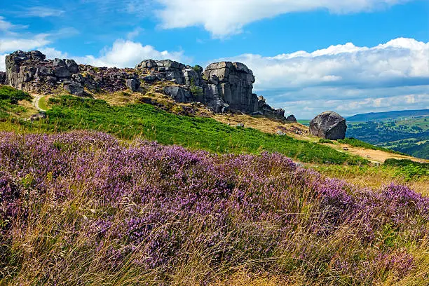 Ilkley Moor is part of Rombalds Moor, the moorland between Ilkley and Keighley in West Yorkshire, England. The moor, which rises to 402 m (1,319 ft) above sea level is famous walking destination.