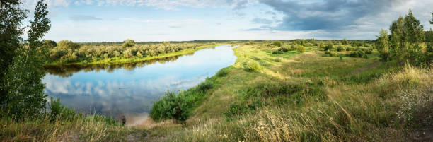 Summer landscape - fotografia de stock