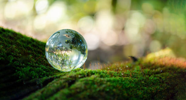 istock renewable energy light bulb with green energy, Earth Day or environment protection Hands protect forests that grow on the ground and help save the world, solar panels 1789241786