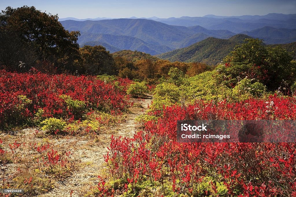 레드 나뭇잎색, mountain vista - 로열티 프리 0명 스톡 사진