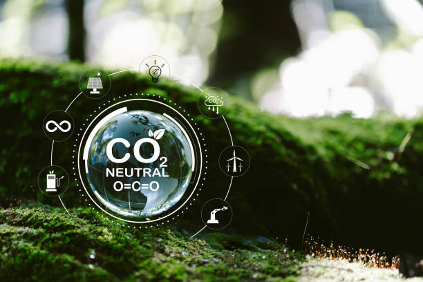 istock Net zero and carbon neutral concept.Globe Glass with Net zero icons In Green Forest With Sunlight. net zero greenhouse gas emissions target Climate neutral long term strategy on a green background. 1789244981
