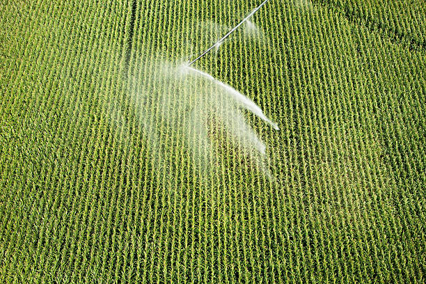 istock Irrigation Pivot Sprinkler from Above Watering Cornfield Aerial 178924548