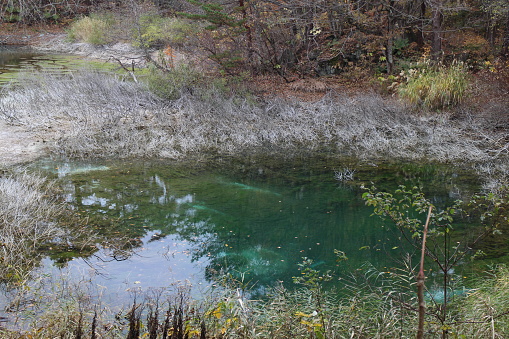 Aonuma's emerald green water surface in Goshikinuma, Urabandai, Fukushima, Japan