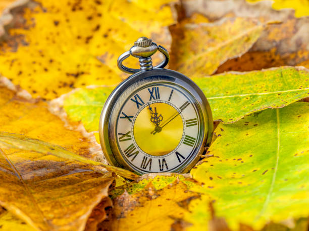 istock Pocket watch among autumn leaves 1789275484