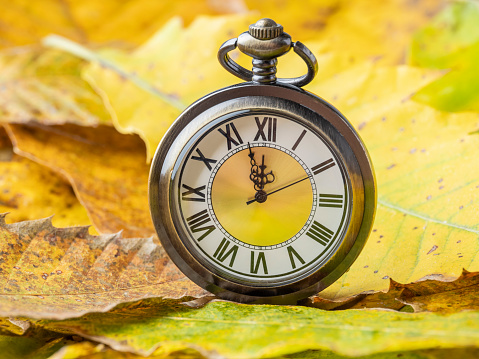 Pocket watch among autumn leaves