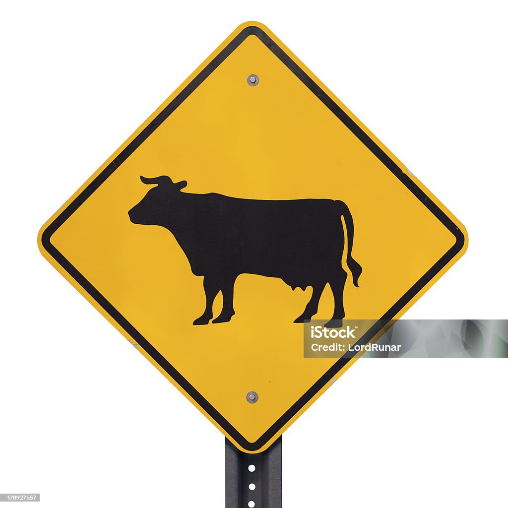 Cattle crossing sign Cattle crossing sign isolated on white. Includes clipping path. Crossing Sign Stock Photo