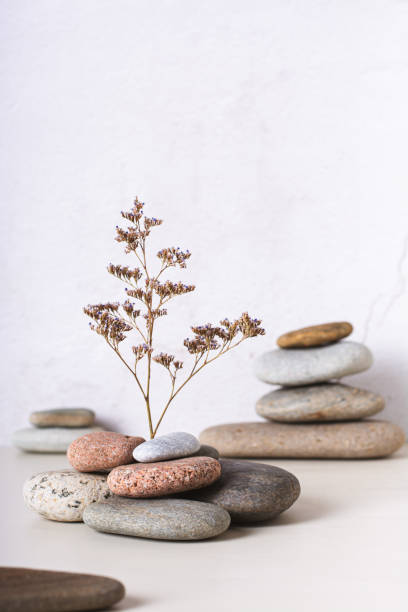 istock Survival concept dried flower growing from stones vertical view 1789291420