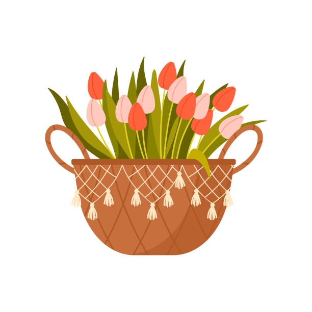 チューリップの花のバスケット - florist supermarket flower bouquet点のイラスト素材／クリップアート素材／マンガ素材／アイコン素材