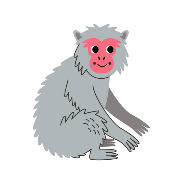 白い背景で隔離されたかわいいニホンザルのベクトル図。 - japanese macaque monkey isolated on white macaque点のイラスト素材／クリップアート素材／マンガ素材／アイコン素材