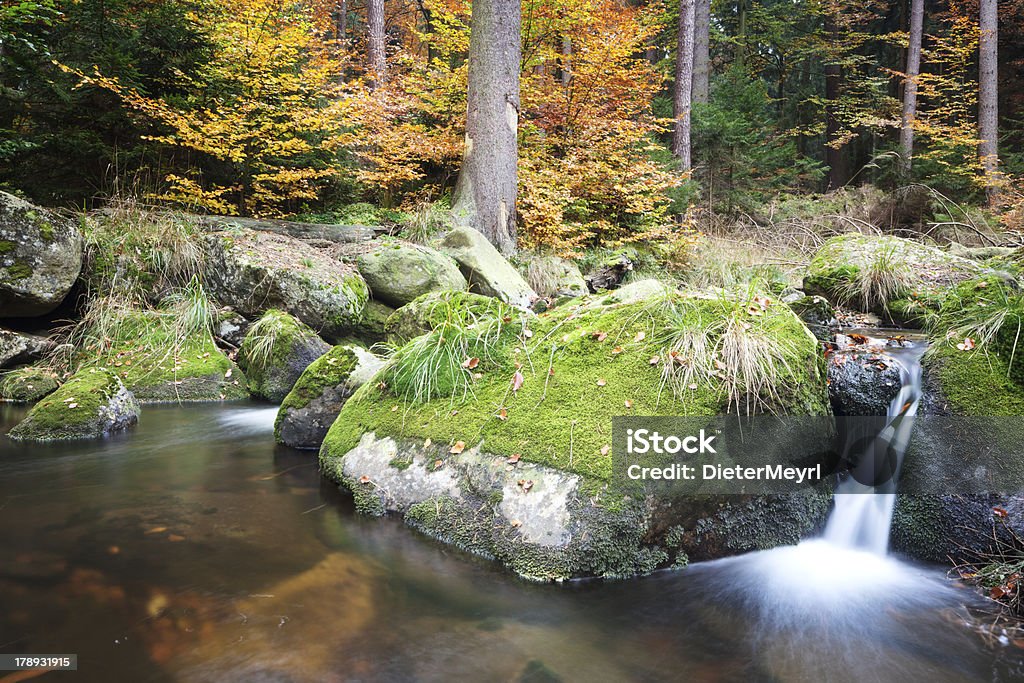 Herbst-stream - Lizenzfrei Fallen Stock-Foto