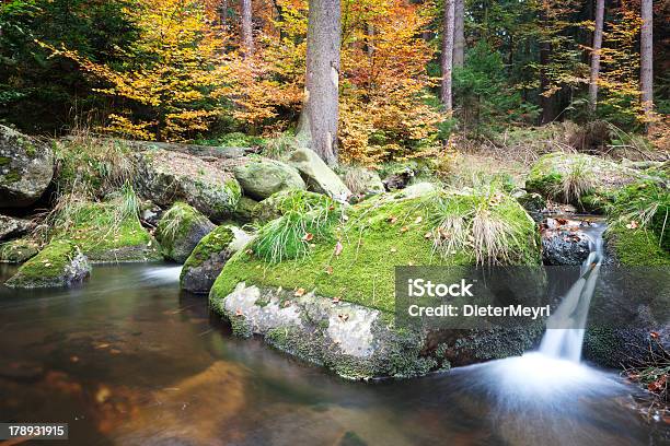 Herbststream Stockfoto und mehr Bilder von Fallen - Fallen, Fotografie, Herbst