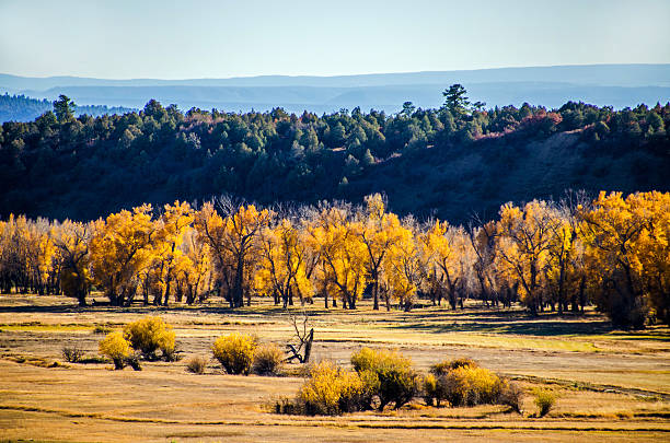 Chama valley, NM, in fall stock photo