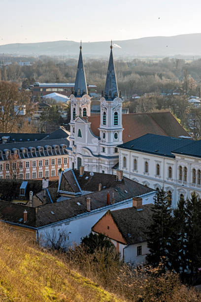 chiesa di sant'ignazio, esztergom, ungheria - saint ignatius church foto e immagini stock