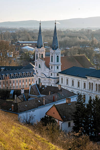 церковь святого игнатия, эстергом, венгрия - saint ignatius church стоковые фото и изображения