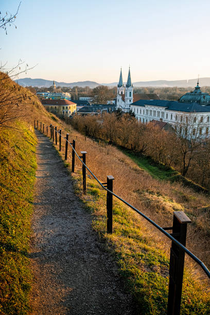 церковь святого игнатия, эстергом, венгрия - saint ignatius church стоковые фото и изображения