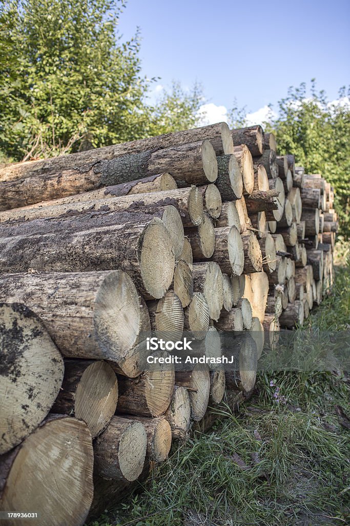 Pile de bois bûches - Photo de Agrafe libre de droits