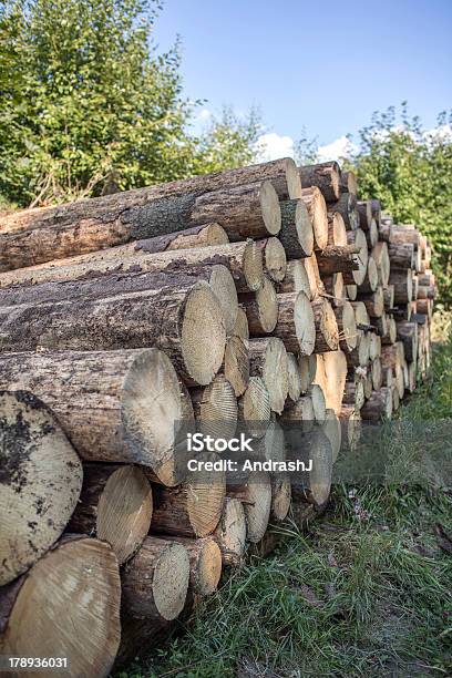 Photo libre de droit de Pile De Bois Bûches banque d'images et plus d'images libres de droit de Agrafe - Agrafe, Arbre, Bois coupé