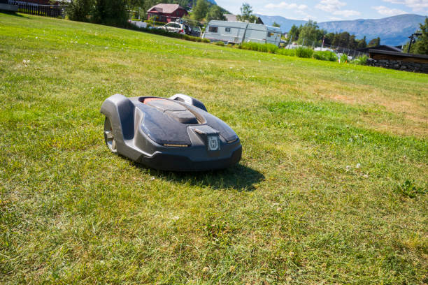 robotic lawn mower cutting grass in lom, norway during a summer day - scandinavian church front view norway imagens e fotografias de stock