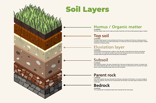 Soil layers (horizons) with names and explanations. Isometric (3d) infographic vector illustration