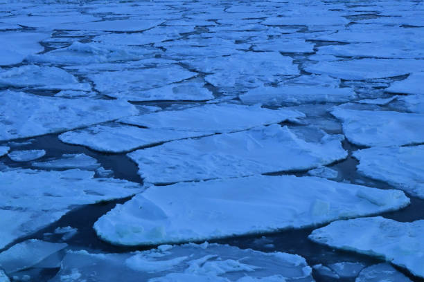 istock Sunset cruising on Floating ices 1789381473