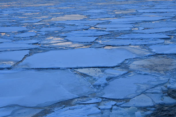 istock Sunset cruising on Floating ices 1789381985
