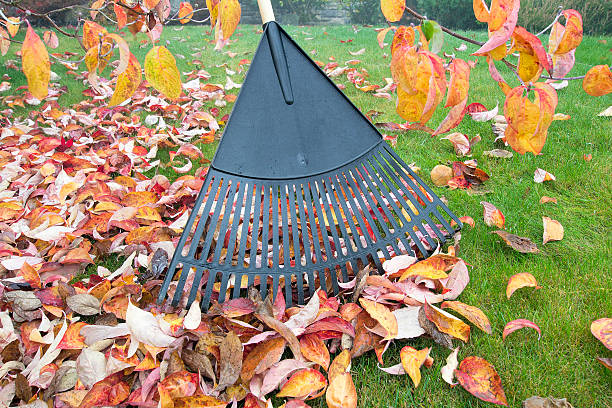 istock Raking Fall Leaves in Garden 178938453