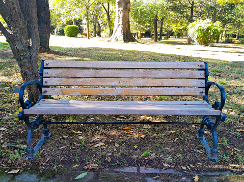 Empty wooden bench in a park with grass and trees and a pedestrian walkway in front.