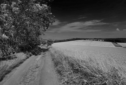 image of country road  warwickshire midlands england uk