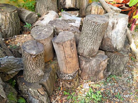 Cut wood ready to burn in winter
