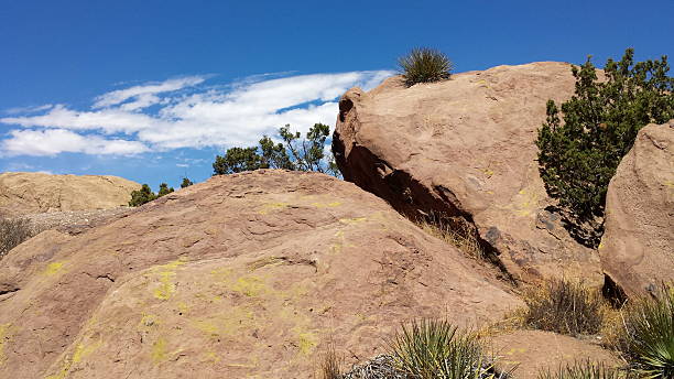 paisagem do deserto dos rochedos de vasquez - vasquez rocks imagens e fotografias de stock