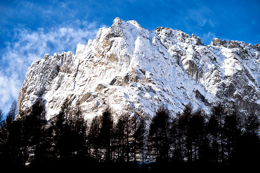 a recent snowfall in the Alps, with the trees 