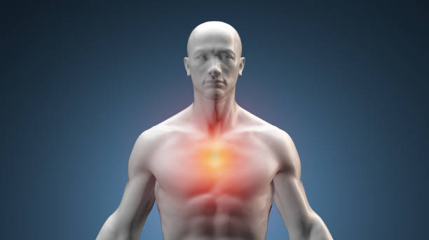 menschlicher mann mit schmerzen in der oberen brust - human heart heart attack x ray image chest stock-fotos und bilder