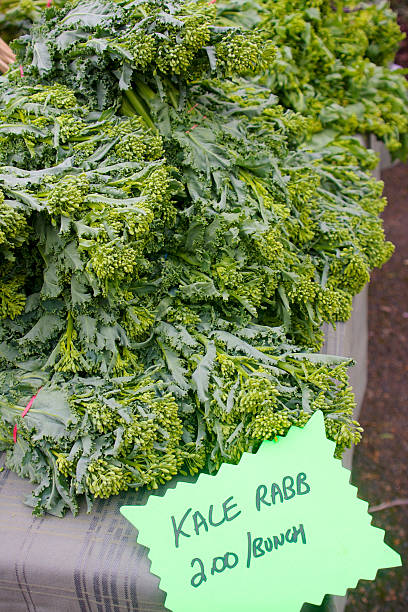 chou frisé raab ou rapini - broccoli raab photos et images de collection