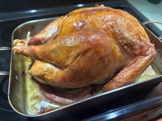 istock Fresh organic turkey baking in a oven 1789455686