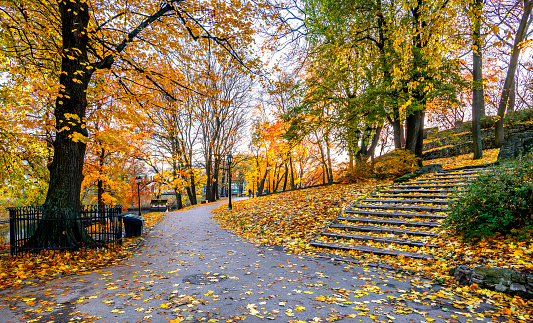 Pedestrian walkway and stairsteps in autumn morning of old public park