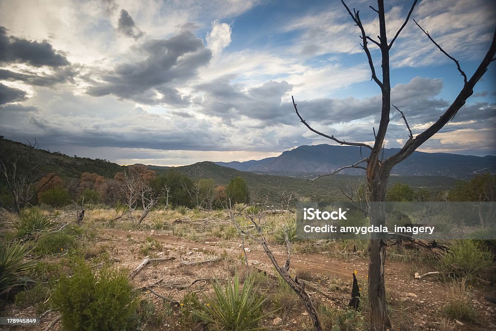 Paysage avec ciel et de trail - Photo de Albuquerque libre de droits