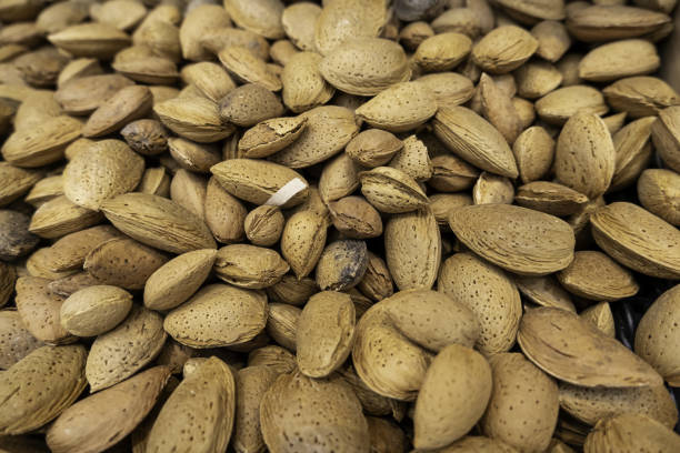 istock Almond trees in a market 1789461048