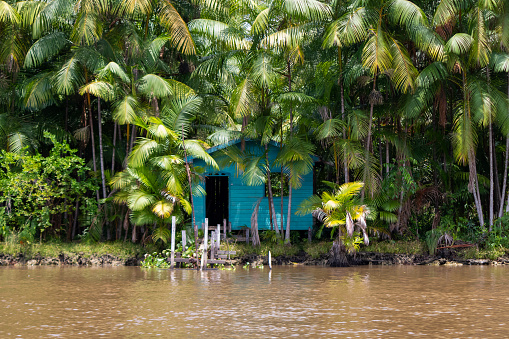 Breves, Para, Brazil - Oct 03, 2023: Riverside wooden home: typical amazonian residence on the banks of Vira-Saia creek in the Marajo archipelago