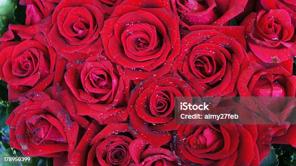 Fundo De Rosas Vermelho - Fotografias de stock e mais imagens de Amor - Amor, Aniversário especial, Beleza