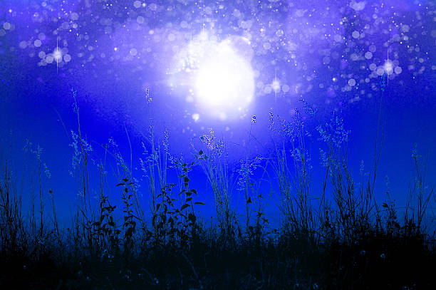 istock Silhouettes flower grass impact sunlight. 178950559