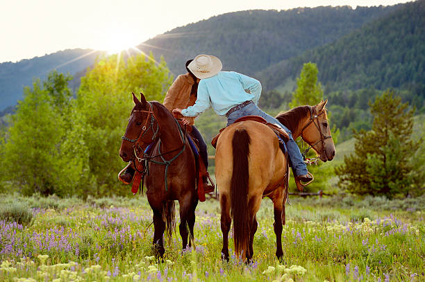Cowboy Kissing His Cowgirl On Horseback In A Montana Sunset stock photo